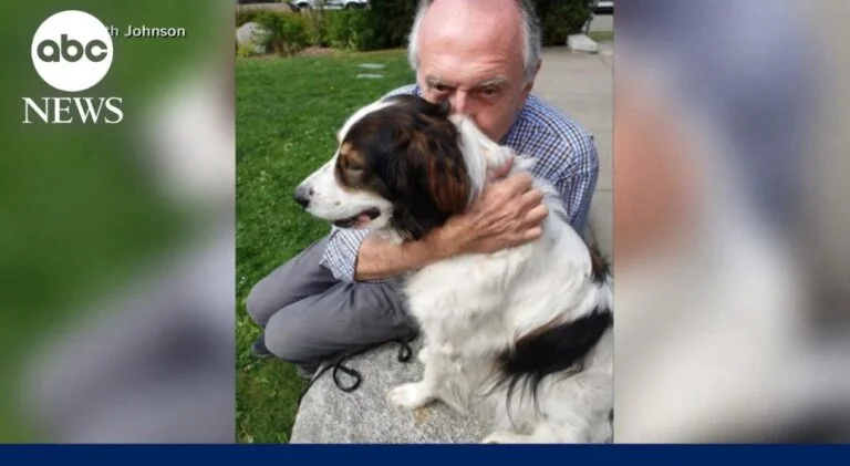 Loyal Dog Saves Elderly Owner By Leading Deputy To His Rescue After Six-Hour Ordeal